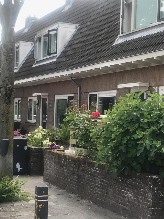 Apartmán Het Zonnetje Zandvoort Exteriér fotografie